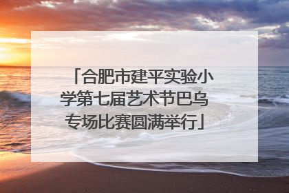 合肥市建平实验小学第七届艺术节巴乌专场比赛圆满举行
