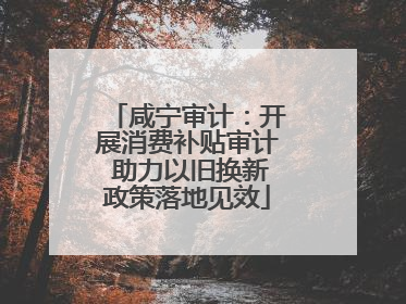 咸宁审计：开展消费补贴审计 助力以旧换新政策落地见效