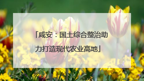 咸安：国土综合整治助力打造现代农业高地