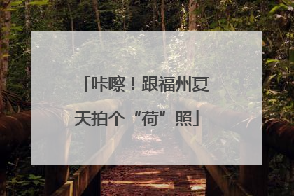 咔嚓！跟福州夏天拍个“荷”照