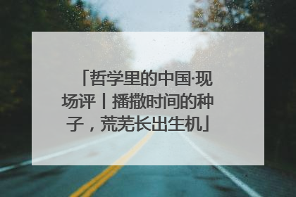 哲学里的中国·现场评丨播撒时间的种子，荒芜长出生机