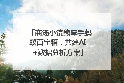 商汤小浣熊牵手蚂蚁百宝箱，共建AI+数据分析方案