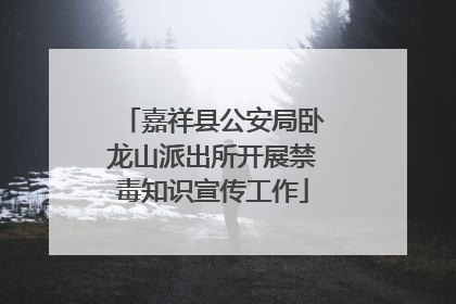 嘉祥县公安局卧龙山派出所开展禁毒知识宣传工作