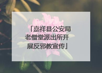 嘉祥县公安局老僧堂派出所开展反邪教宣传