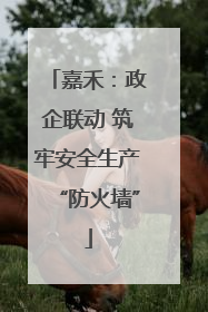 嘉禾：政企联动 筑牢安全生产“防火墙”
