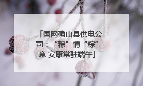 国网确山县供电公司：“粽”情“粽”意 安康常驻端午