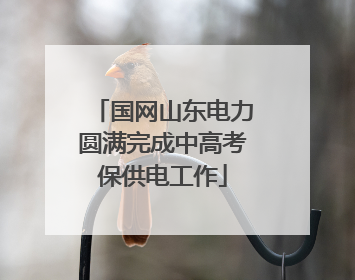 国网山东电力圆满完成中高考保供电工作