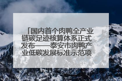 国内首个肉鸭全产业链碳足迹核算体系正式发布——泰安市肉鸭产业低碳发展标准示范项目顺利通过验收
