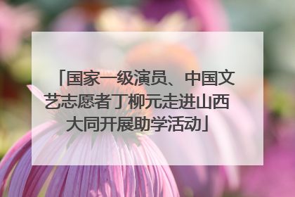 国家一级演员、中国文艺志愿者丁柳元走进山西大同开展助学活动