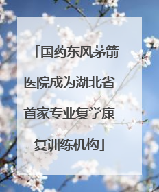 国药东风茅箭医院成为湖北省首家专业复学康复训练机构