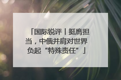 国际锐评丨挺膺担当，中俄并肩对世界负起“特殊责任”