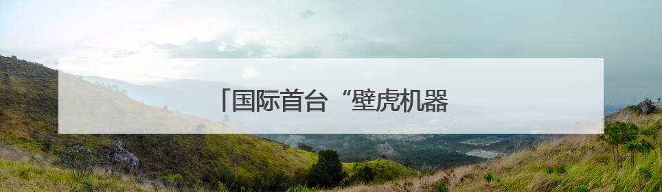 国际首台“壁虎机器人”上岗守护核安全