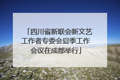 四川省新联会新文艺工作者专委会夏季工作会议在成都举行