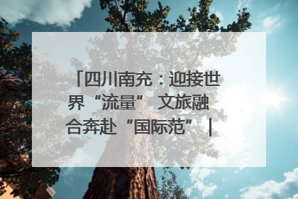 四川南充：迎接世界“流量” 文旅融合奔赴“国际范”｜话锦绣·说安逸