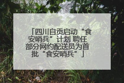 四川自贡启动“食安哨兵”计划 聘任部分网约配送员为首批“食安哨兵”