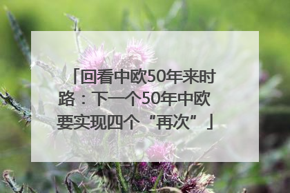 回看中欧50年来时路：下一个50年中欧要实现四个“再次”