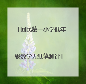 回民第一小学低年级数学无纸笔测评