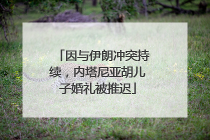 因与伊朗冲突持续，内塔尼亚胡儿子婚礼被推迟