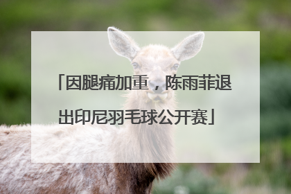 因腿痛加重，陈雨菲退出印尼羽毛球公开赛