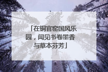在铜官窑国风乐园，闻见书卷墨香与草本芬芳