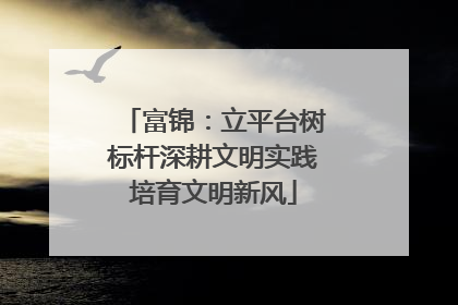 富锦：立平台树标杆深耕文明实践培育文明新风