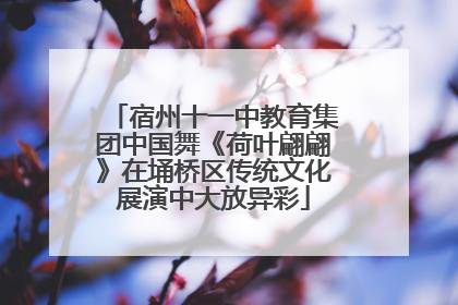 宿州十一中教育集团中国舞《荷叶翩翩》在埇桥区传统文化展演中大放异彩