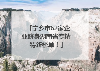宁乡市62家企业跻身湖南省专精特新榜单！