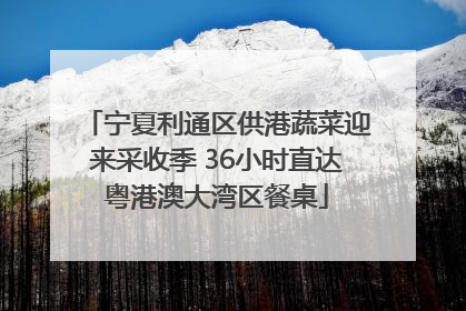 宁夏利通区供港蔬菜迎来采收季 36小时直达粤港澳大湾区餐桌