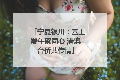 宁夏银川：塞上端午聚同心 港澳台侨共传情