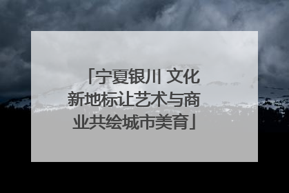 宁夏银川 文化新地标让艺术与商业共绘城市美育