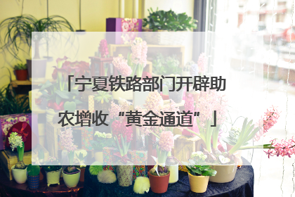 宁夏铁路部门开辟助农增收“黄金通道”