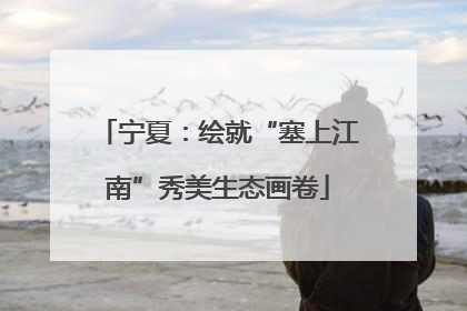 宁夏：绘就“塞上江南”秀美生态画卷