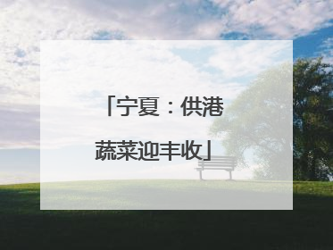 宁夏：供港蔬菜迎丰收