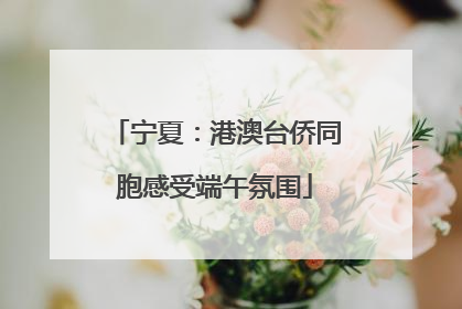 宁夏：港澳台侨同胞感受端午氛围