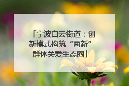 宁波白云街道：创新模式构筑“两新”群体关爱生态圈