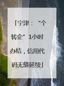 宁津：“个转企”1小时办结，信用代码无缝延续