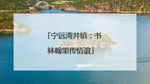 宁远湾井镇：书林翰墨传情谊