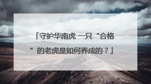 守护华南虎 一只“合格”的老虎是如何养成的？