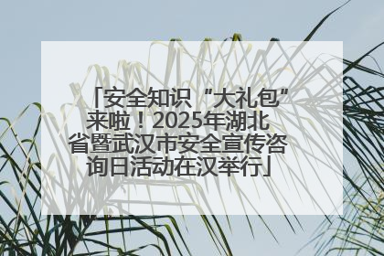 安全知识“大礼包”来啦！2025年湖北省暨武汉市安全宣传咨询日活动在汉举行