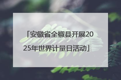 安徽省全椒县开展2025年世界计量日活动