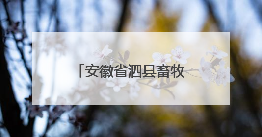 安徽省泗县畜牧兽医水产技术服务中心原工作人员陈军辉被“双开”