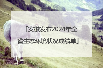 安徽发布2024年全省生态环境状况成绩单