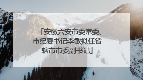 安徽六安市委常委、市纪委书记李敏拟任省辖市市委副书记