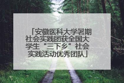 安徽医科大学暑期社会实践团获全国大学生“三下乡”社会实践活动优秀团队