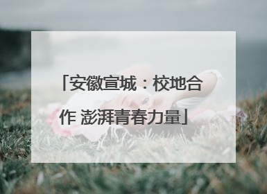 安徽宣城：校地合作 澎湃青春力量