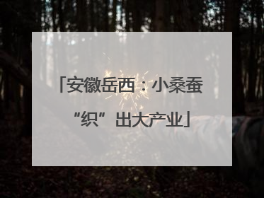 安徽岳西：小桑蚕“织”出大产业