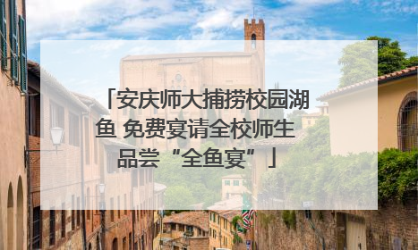 安庆师大捕捞校园湖鱼 免费宴请全校师生品尝“全鱼宴”