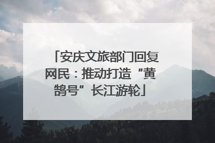 安庆文旅部门回复网民：推动打造“黄鹄号”长江游轮