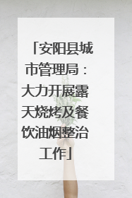 安阳县城市管理局：大力开展露天烧烤及餐饮油烟整治工作