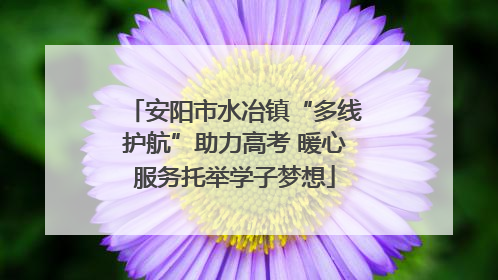 安阳市水冶镇“多线护航”助力高考 暖心服务托举学子梦想